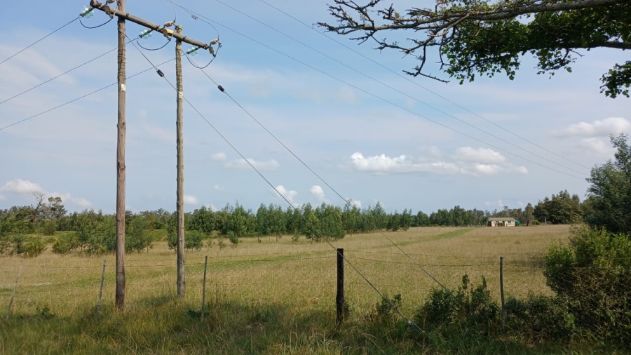 Commercial Property for Sale in Bathurst Rural Eastern Cape